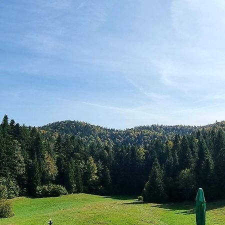 Planinski Dom Na Travni Gori Sodrazica Luaran gambar