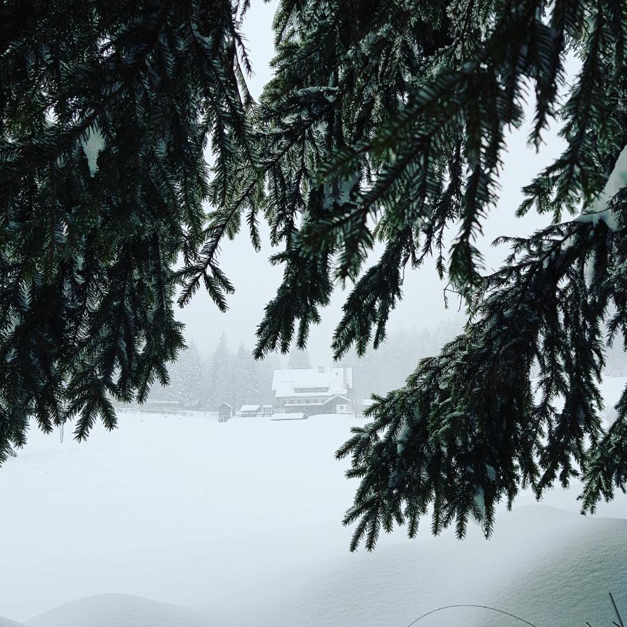 Planinski Dom Na Travni Gori Sodrazica Luaran gambar