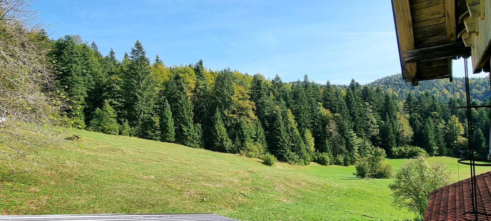 Planinski Dom Na Travni Gori Sodrazica Luaran gambar